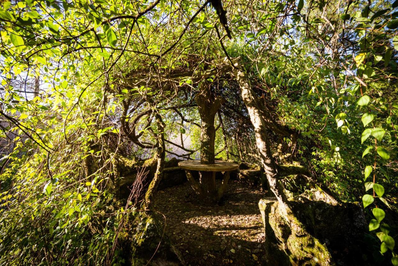 The Grove Houses Guimarães Exterior foto